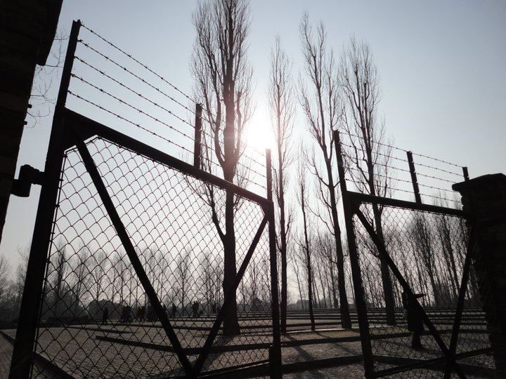 184644_623509890227_810588_n